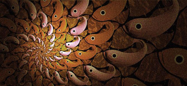 Jorge Molgora - 
